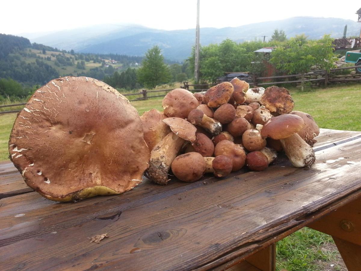 Babia Chata Zawoja Luaran gambar