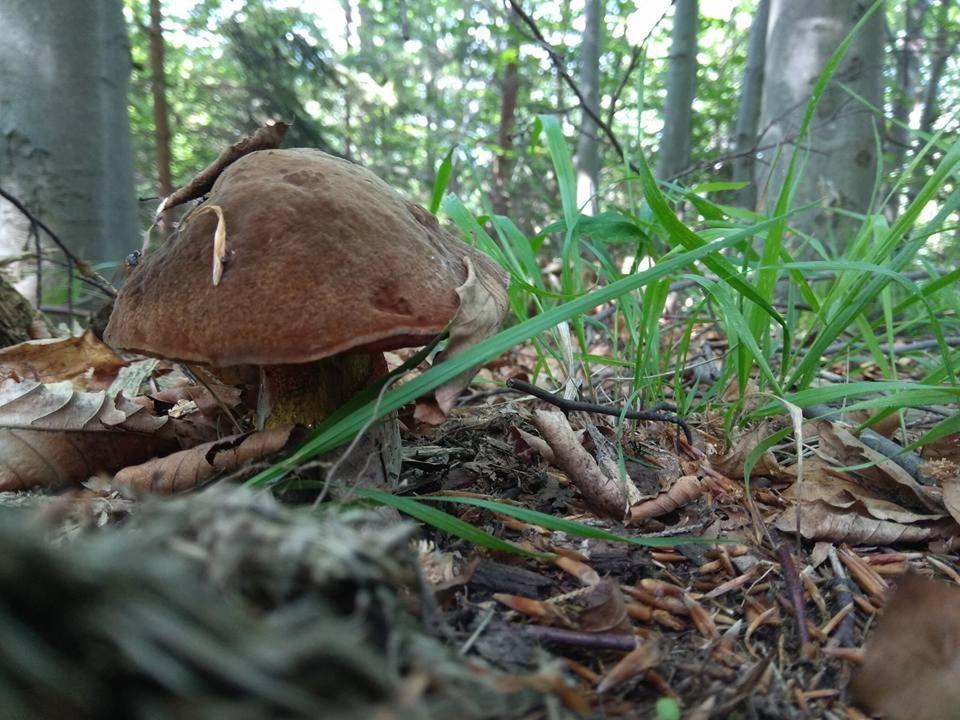 Babia Chata Zawoja Luaran gambar