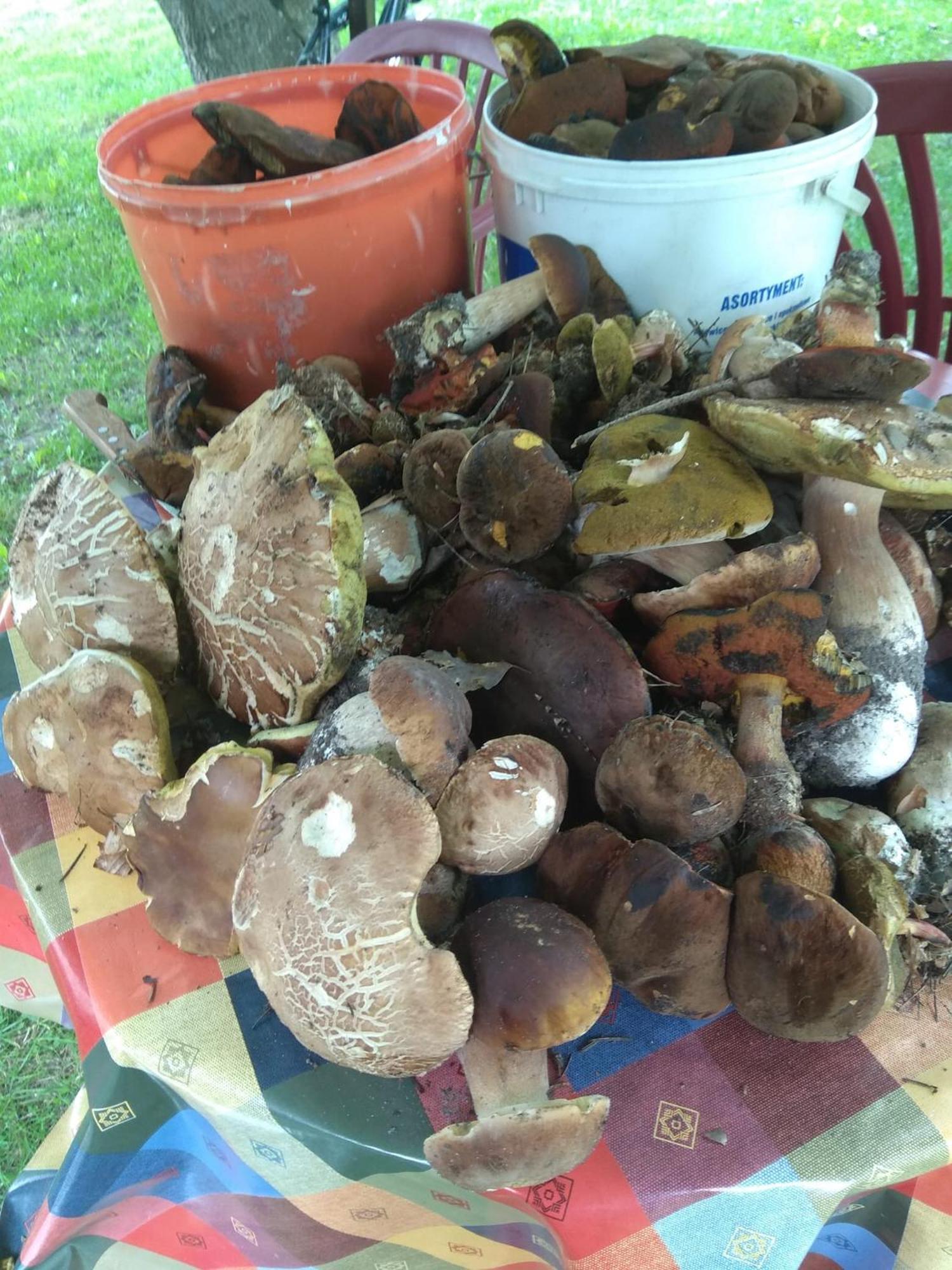 Babia Chata Zawoja Luaran gambar